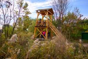 Parcul Natural Văcăreşti organizează pe 17 octombrie prima ediţie NATURE TOGETHER - Family Discovery Trail